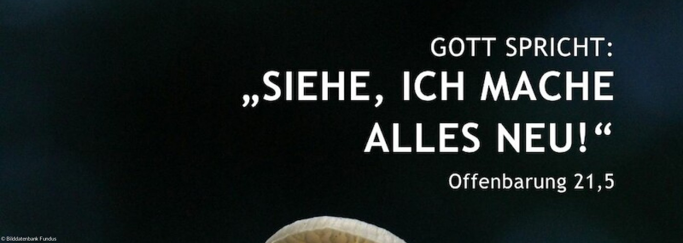 Jahreslosung_2026 1080x1080px - 7