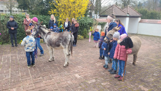 Palmsonntag mit Eseln
