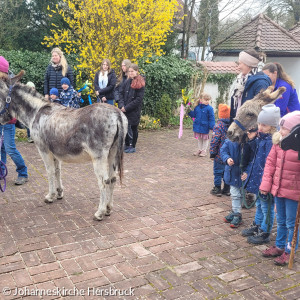 Palmsonntag mit Eseln