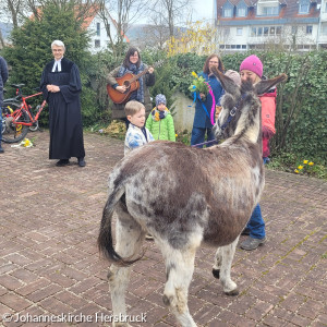 Palmsonntag mit Eseln