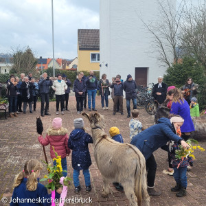 Palmsonntag mit Eseln